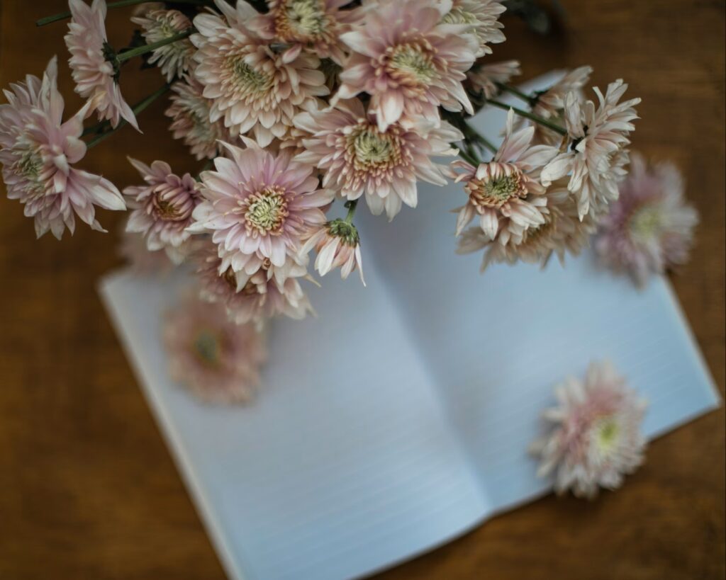 シルクザリッチ【ピンク】の3つの特徴を解説！